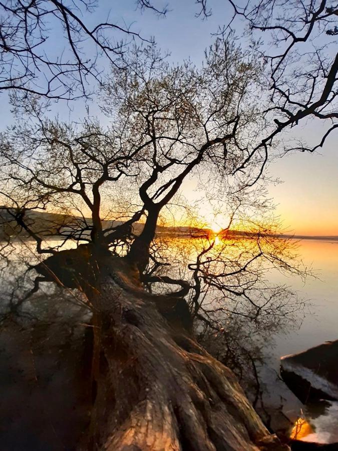 Ferien-Sempachersee Sandra Sens Екстериор снимка